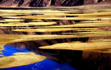 新疆风光之高原湿地生图片