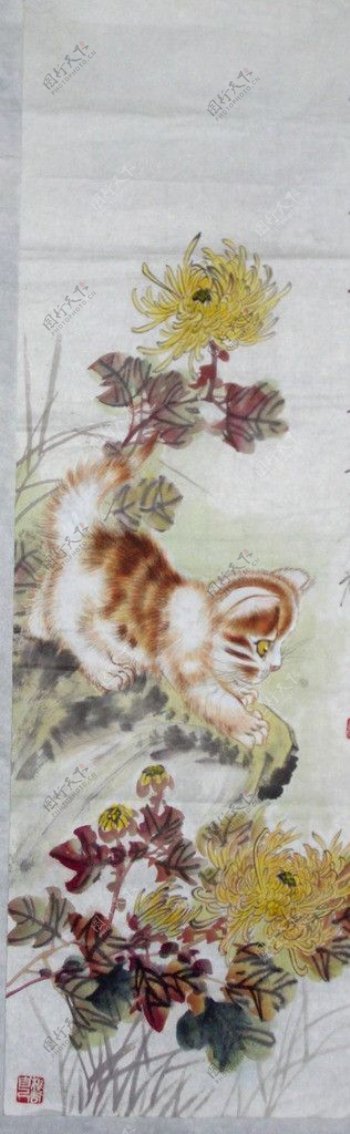 猫趣菊花图1图片