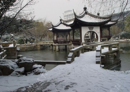 上海奉贤古华园雪景图片