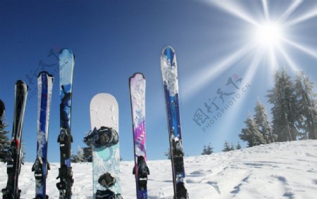雪地滑雪图片
