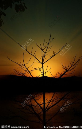 枯藤老树黄昏图片