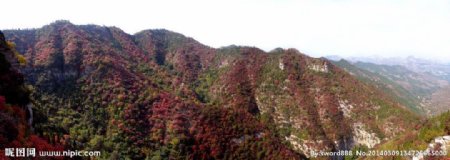 青州仰天山红叶图片