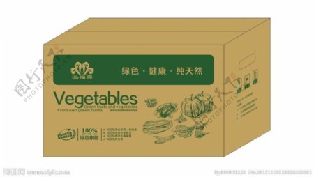 精品绿色蔬菜包装展开图效果图图片