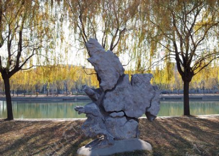 湖边的柳树图片