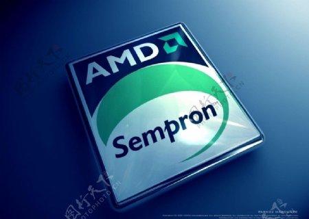AMD标志图片