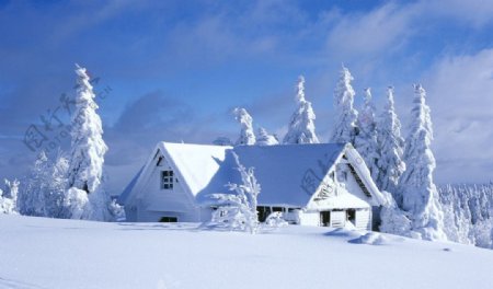 白皑皑雪屋图片