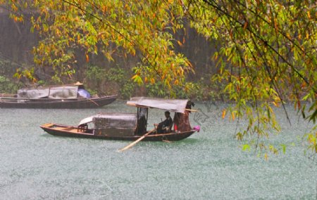 雨中行图片