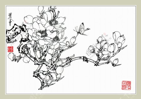 白描花卉玉兰图片