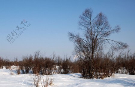 根河南河套冬天风景图片