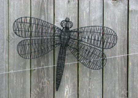 蜻蜓玩具图片