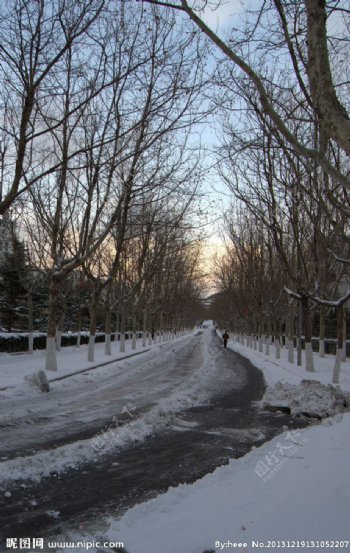 雪后大马路图片