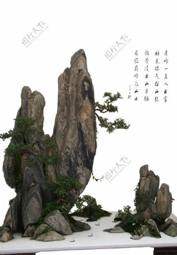山石盆景图片
