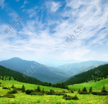 绿色高山图片