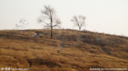 东腊山图片