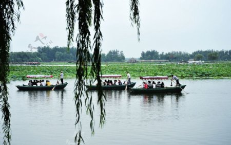 自然景观图片