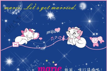 Marie玛丽猫之恋分层图片