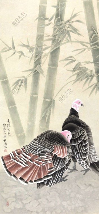 竹林火鸡图片