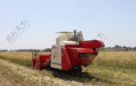 水稻收割机图片