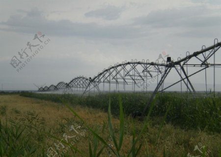 滴灌田园灌溉图片