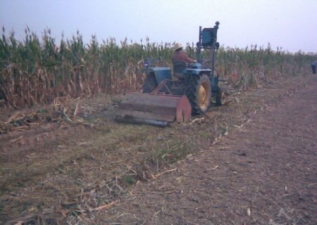 玉米秸杆粉碎2图片