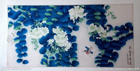 蓝色荆花图片