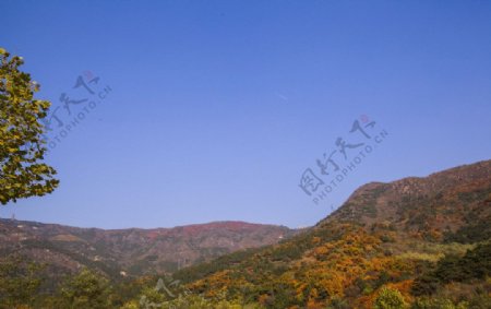 莽山国家森林公园图片