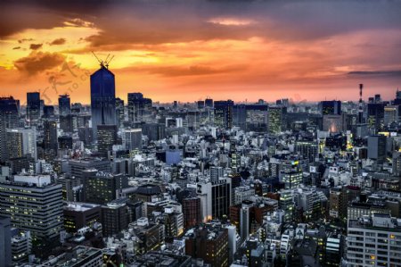 东京城市俯瞰摄影图片