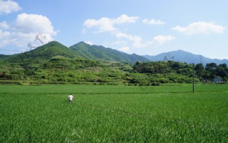 五原风景图片