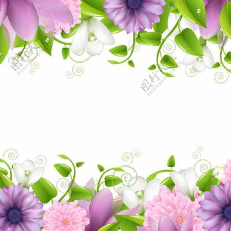 矢量花朵紫色小花浪漫背景图片