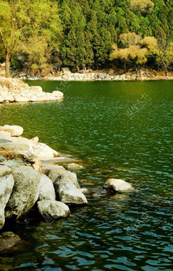 碧水湖畔图片