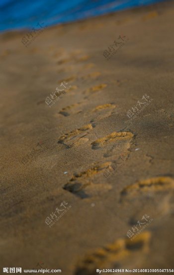 海滩特写脚印图片