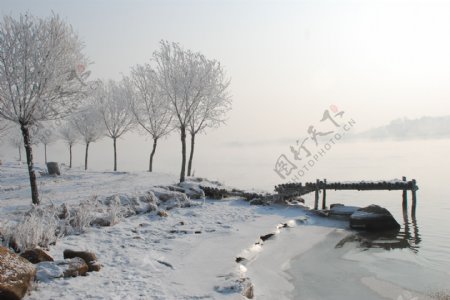 北国江城吉林雾凇图片
