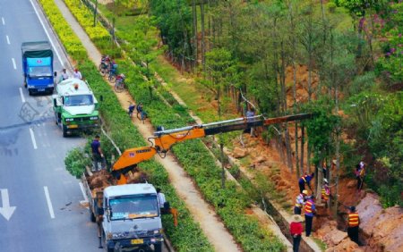 交通建设道路绿化图片