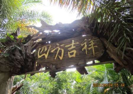 海南植物园图片