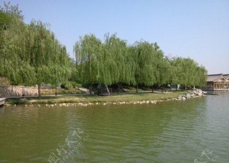 曲江池图片