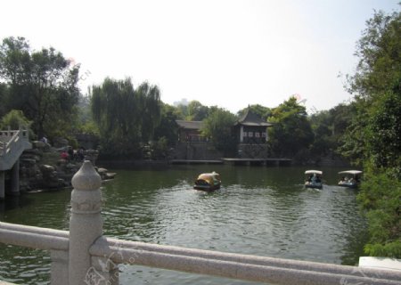 兴庆宫风景图片