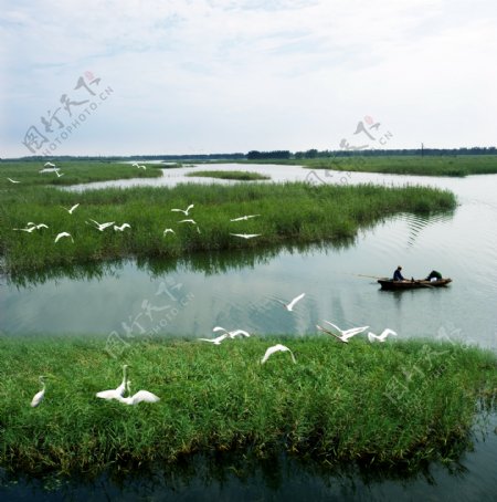 千岛湿地图片