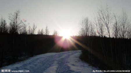 夕阳林间雪路图片
