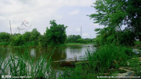 原生态湿地图片