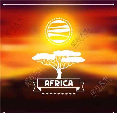 非洲大树图片