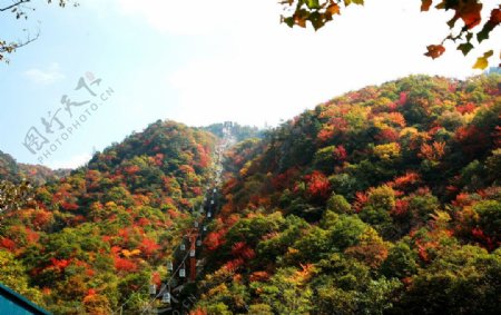山峰树林风景图片