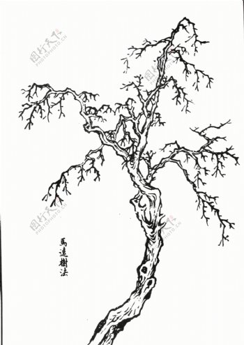 芥子园画谱图片