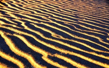 沙之韵律图片