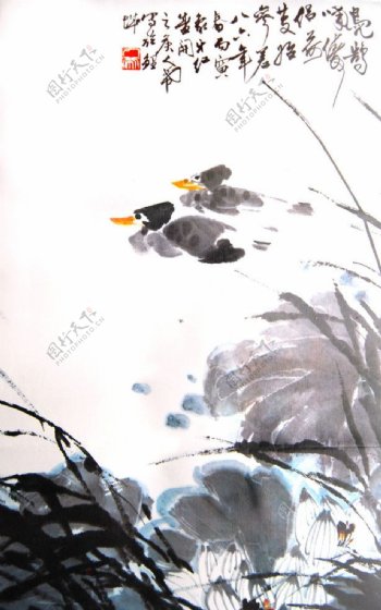 荷塘双鸭图图片