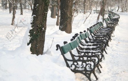 冬季公园休闲图片