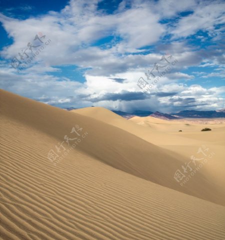 西部沙漠图片
