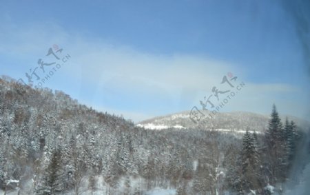 林海雪原图片