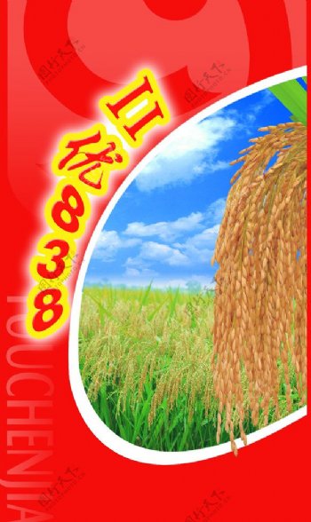 II优838水稻包装图片