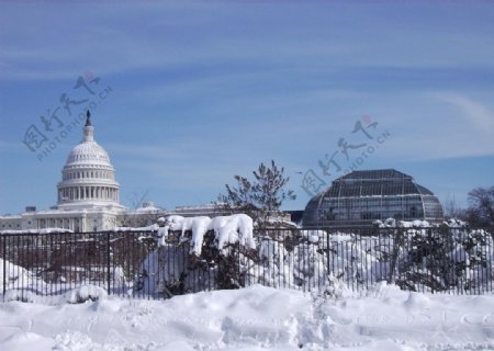 雪后的白宫图片