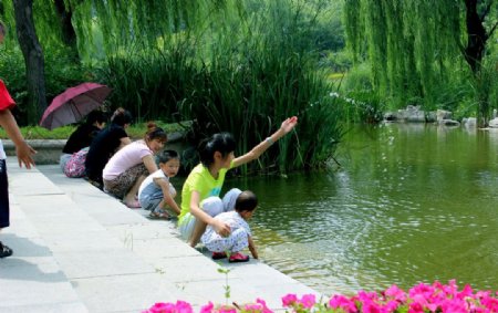 潍坊植物园戏水图片